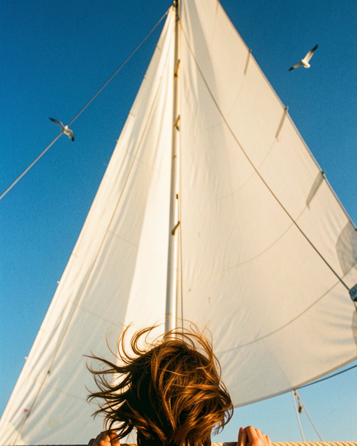 Ponza 4